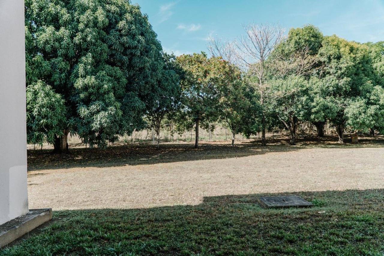 Apartamento Ganesha Liberia Santa Ana  Exteriér fotografie